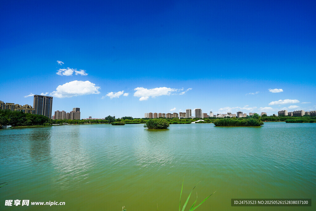 城市公園