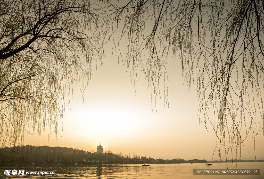 夕陽下的垂柳湖畔美景