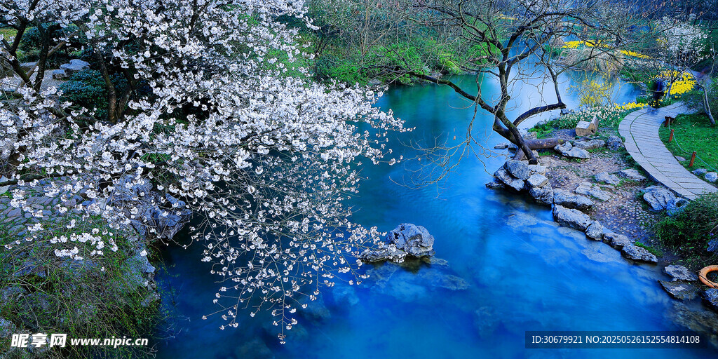 春日河畔繁花碧水美景