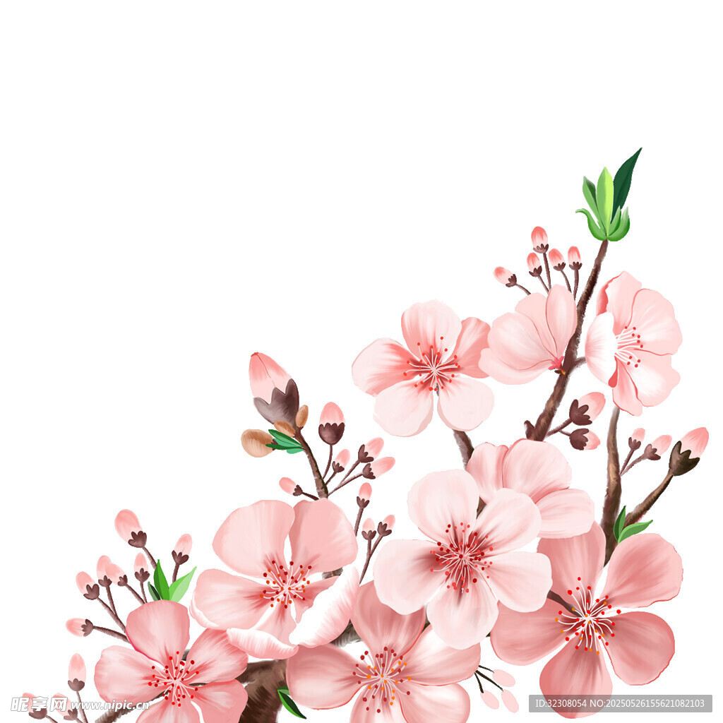 粉色爛漫桃花枝