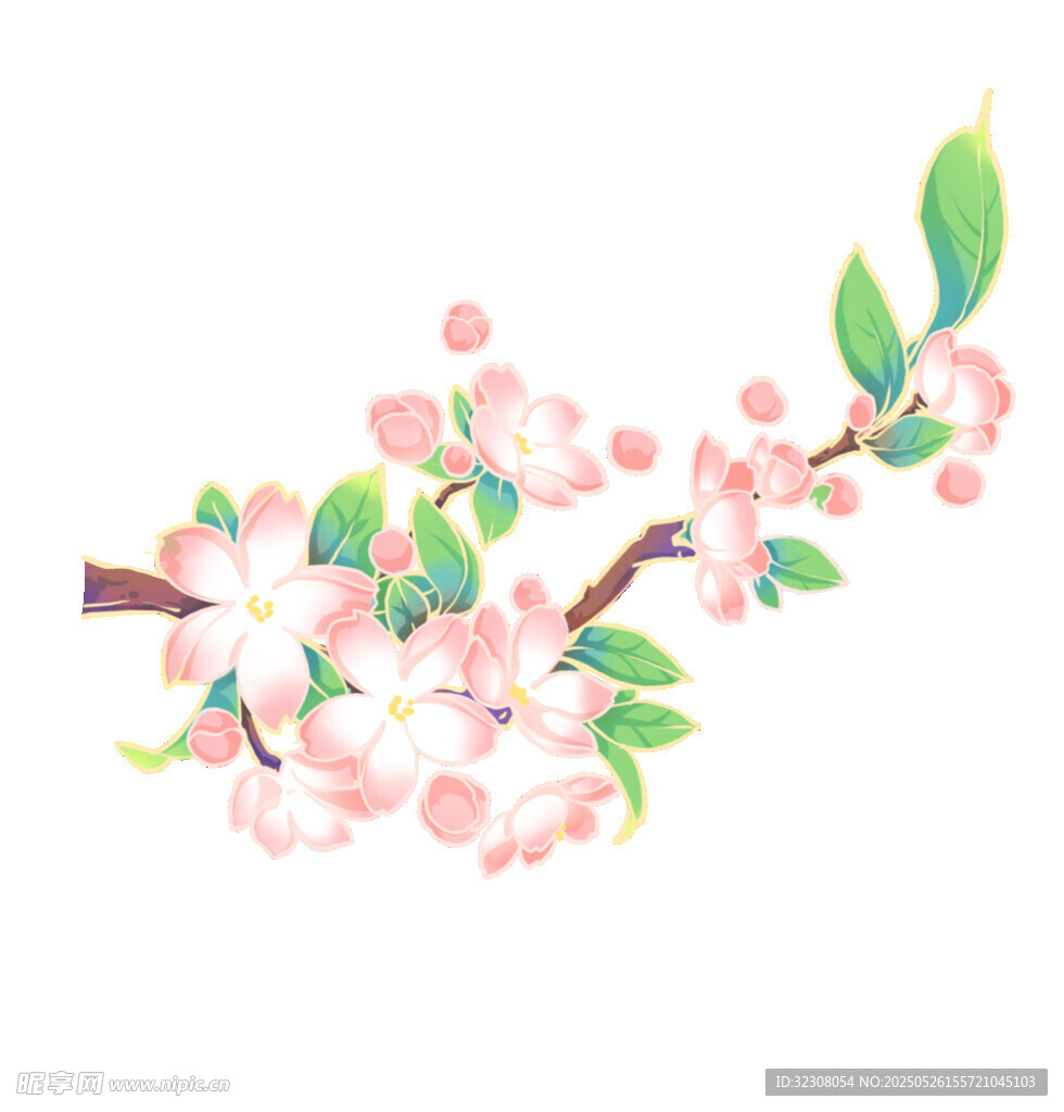 手繪粉色花枝插畫