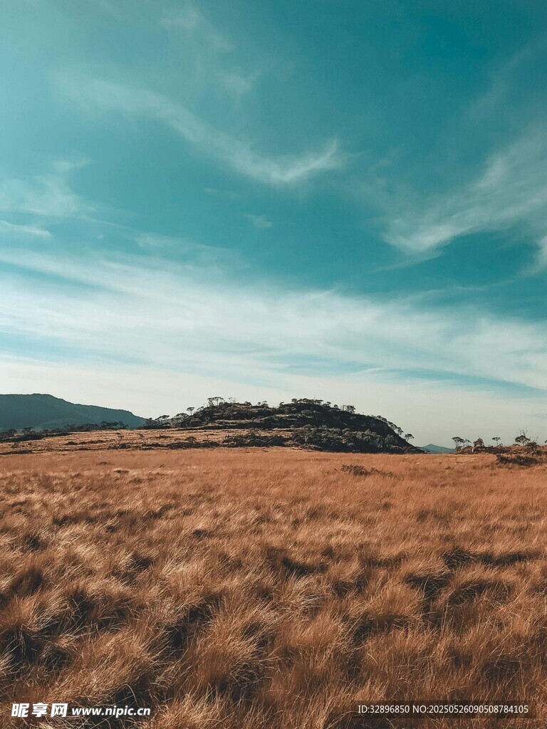 廣袤原野上的藍天美景