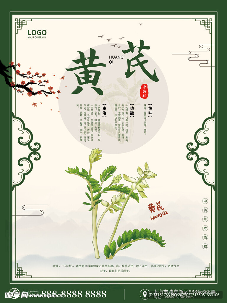 傳統黃芪插畫展示