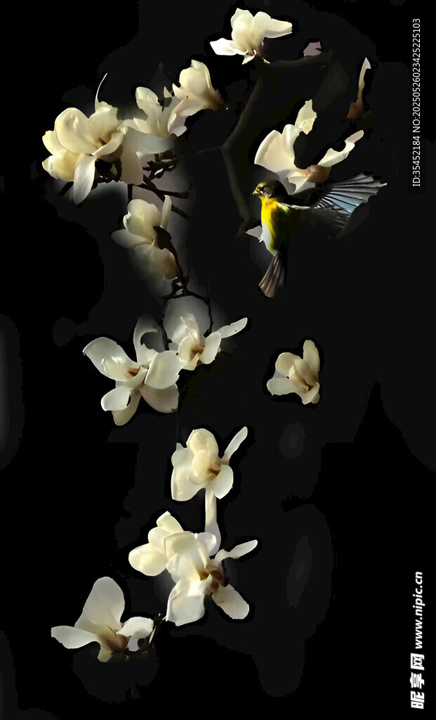 花朵飛舞
