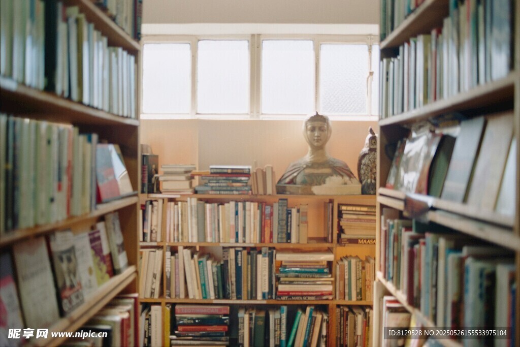 靜謐圖書館內的書籍世界