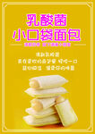 乳酸菌 小口袋面包