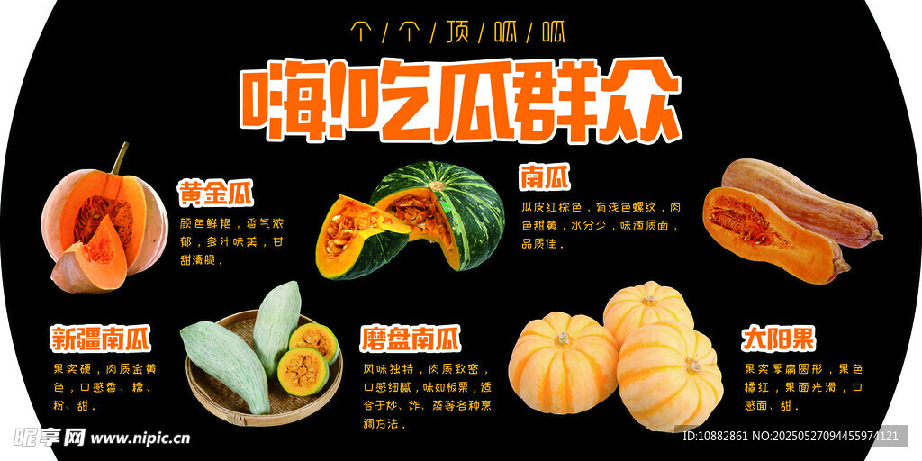南瓜分類 