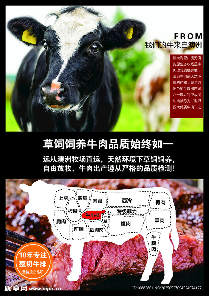牛肉分割圖