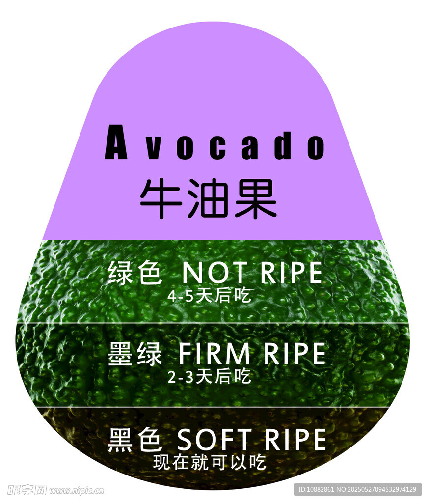 牛油果顏色區分