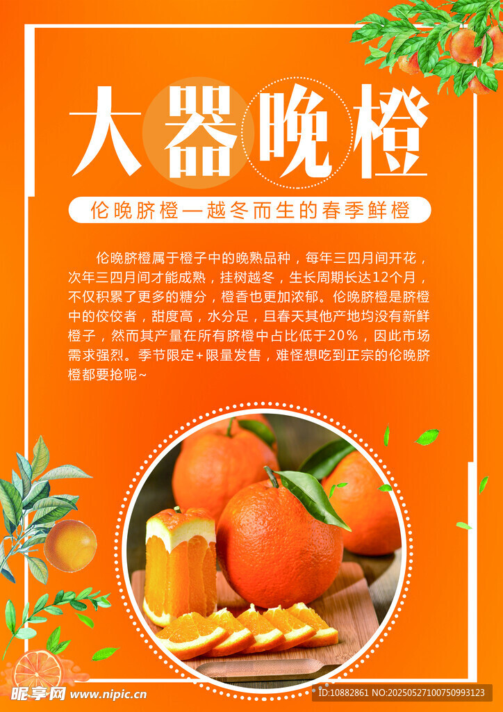 橙子