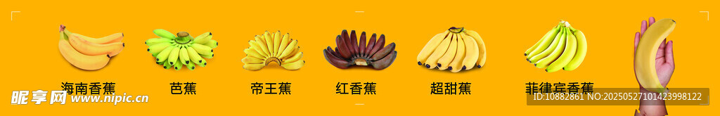 各種香蕉