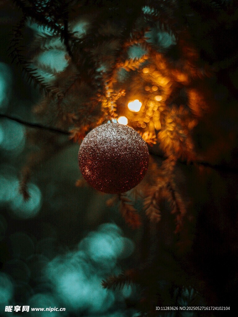 枝頭掛雪的紅果