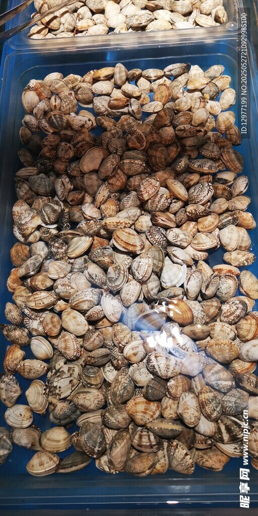 海鮮牡蠣