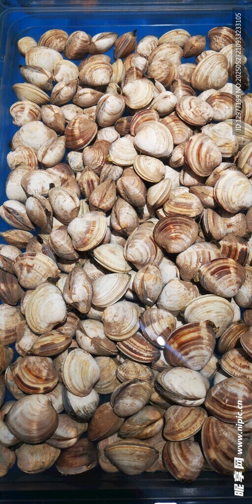 滿滿一盤美味牡蠣