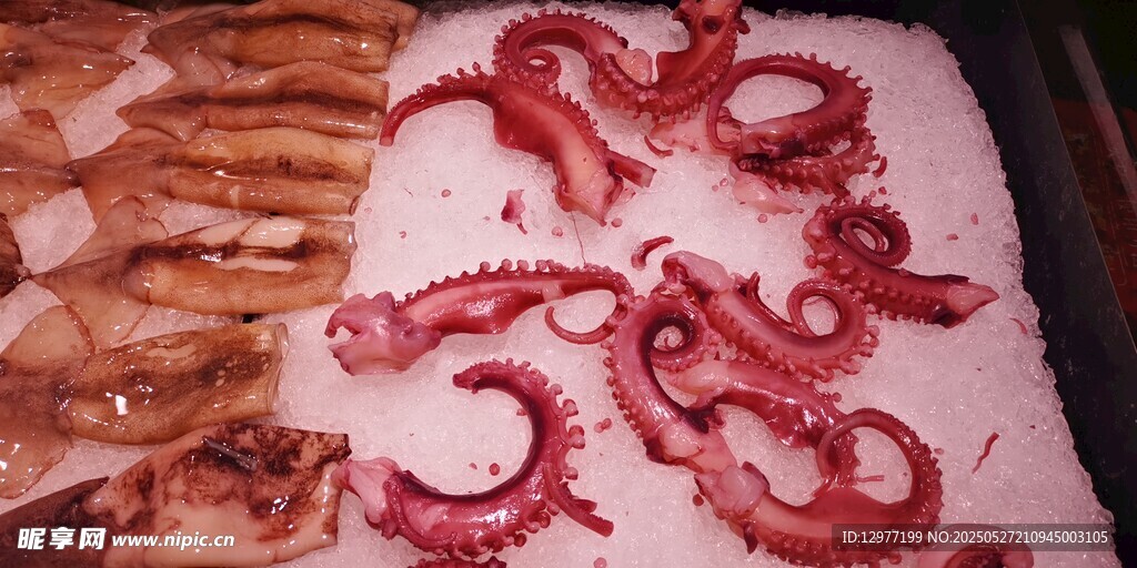 新鮮章魚(yú)及烤制食材展示