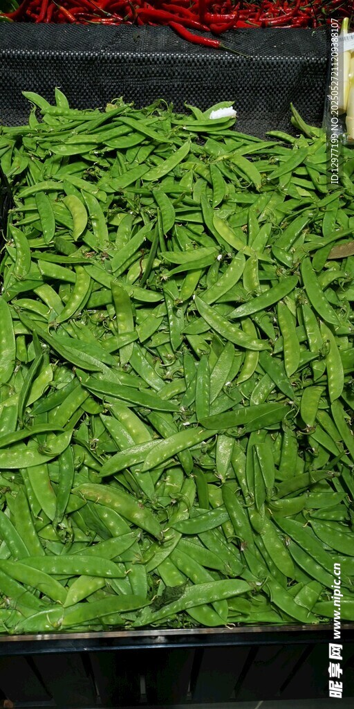 新鮮四季豆滿滿當當