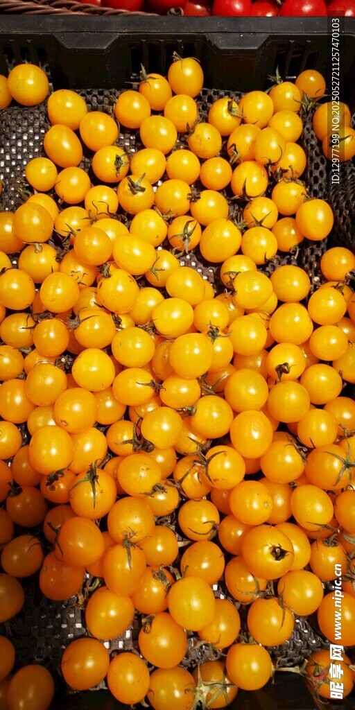 黃色珠子堆 黃色番茄