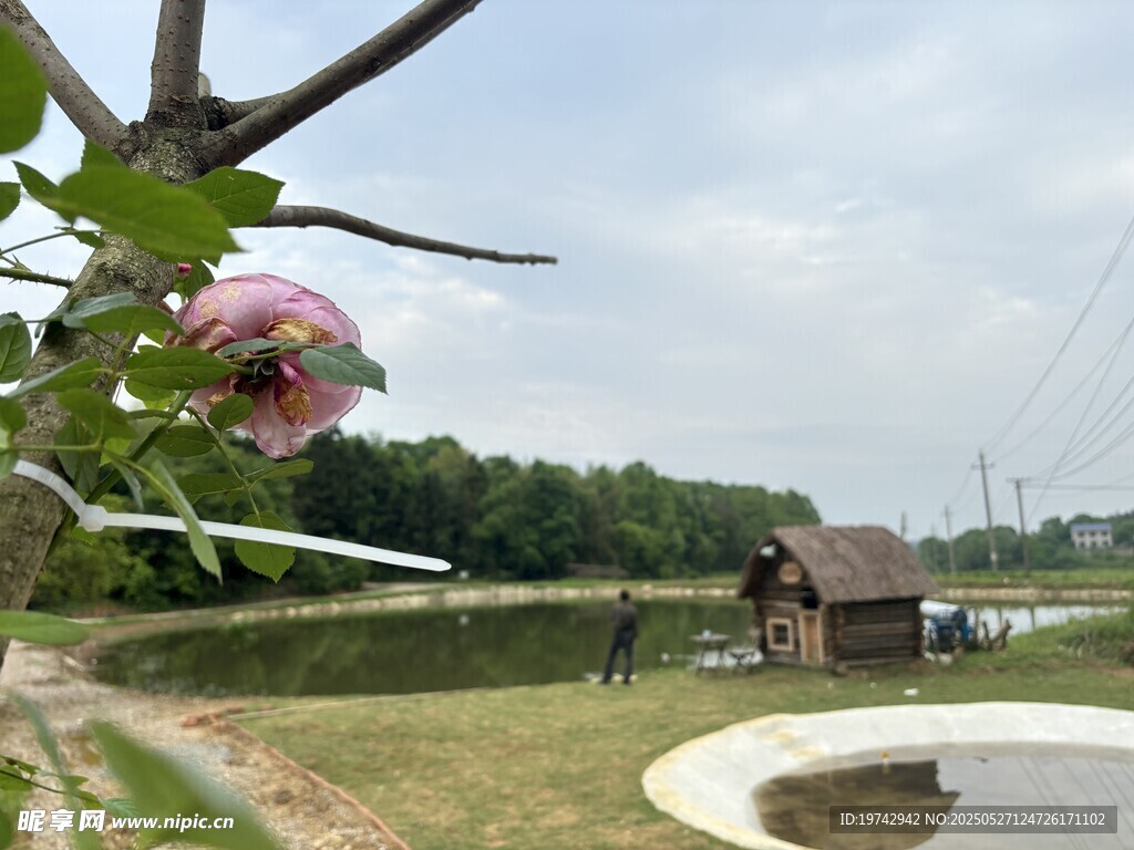 戶外露營
