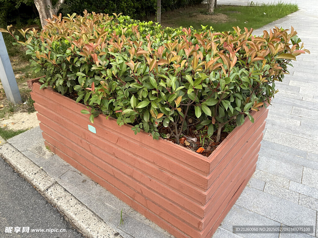 木質(zhì)花箱