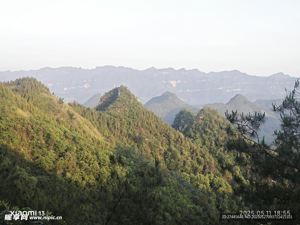青山疊翠的秀麗山林景色