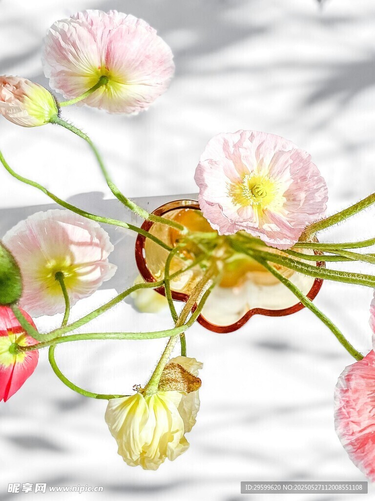 柔美粉色花卉特寫