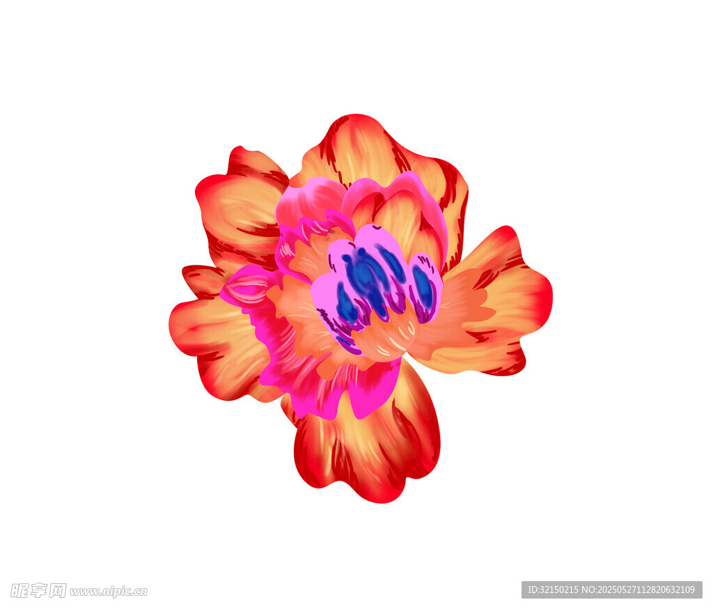 絢麗多彩花朵插畫