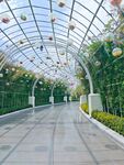 溫室長廊綠植景觀