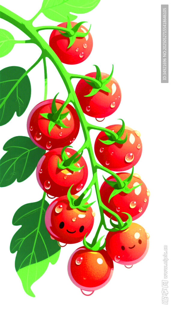 小番茄