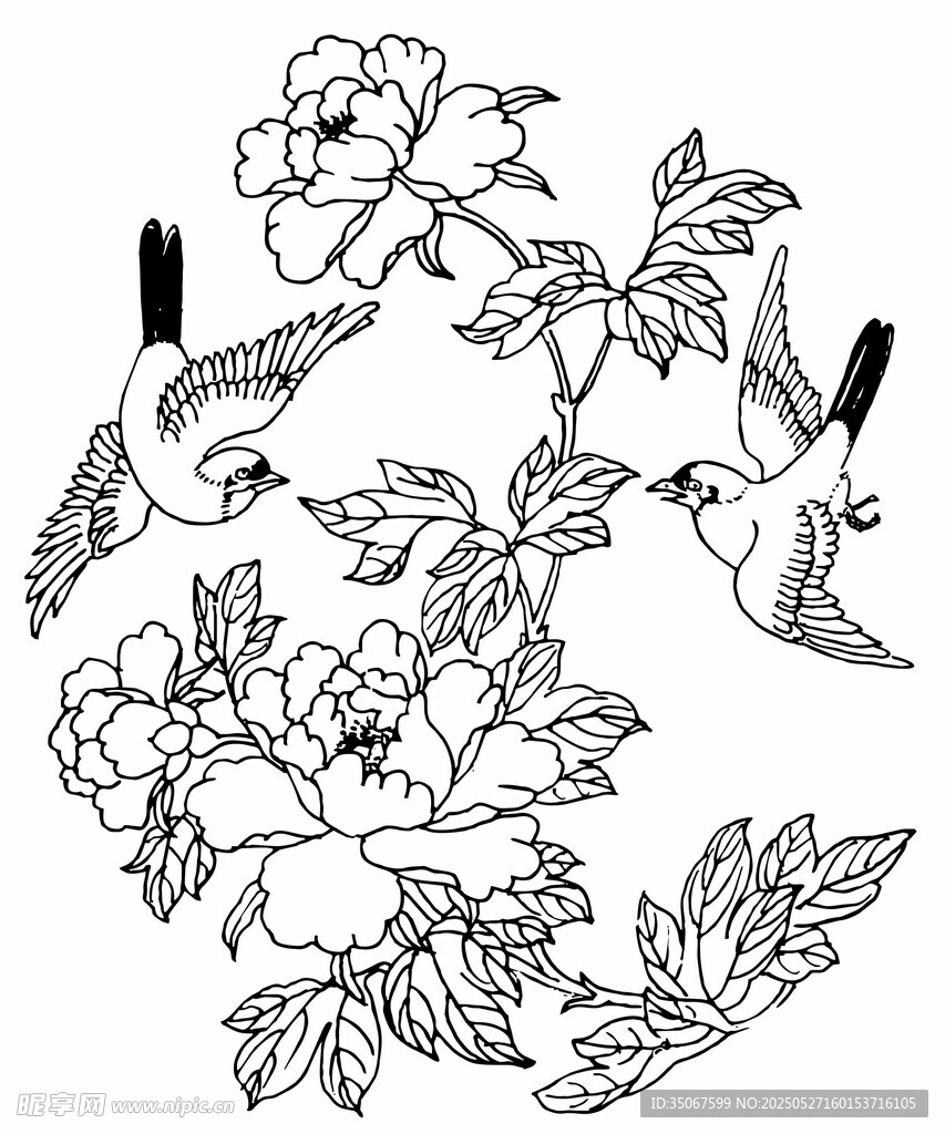花鳥牡丹圖稿