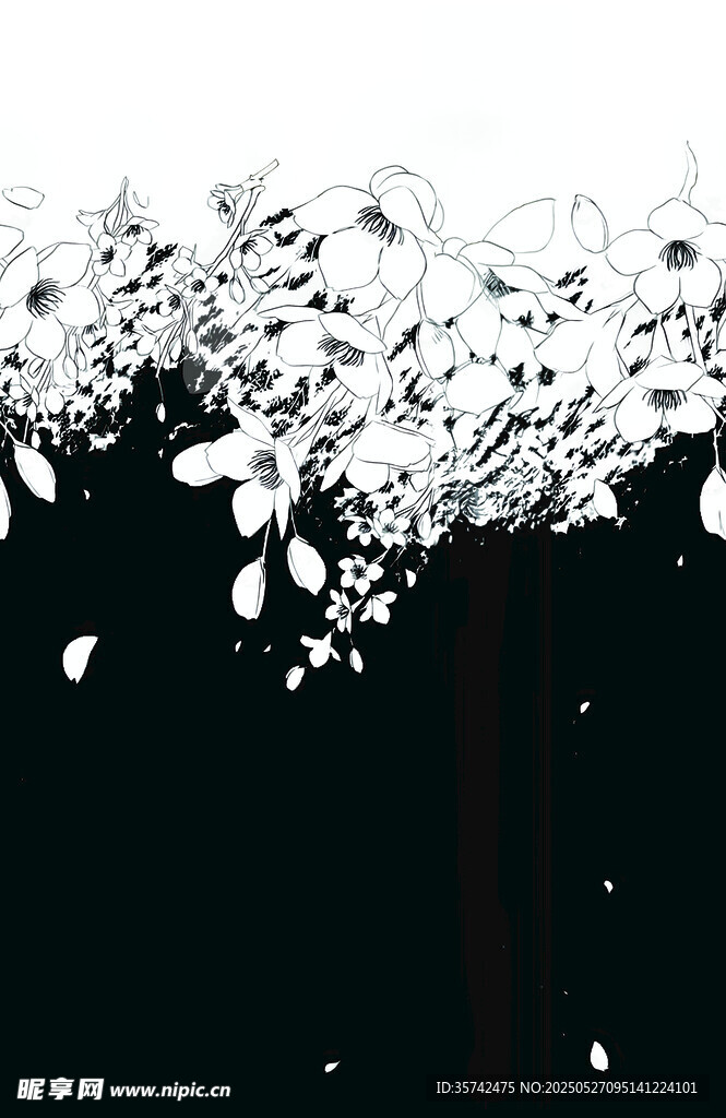 黑白花卉