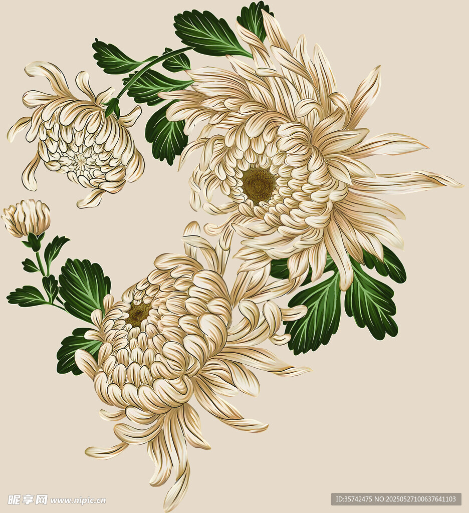 中式菊花花卉裝飾圖案