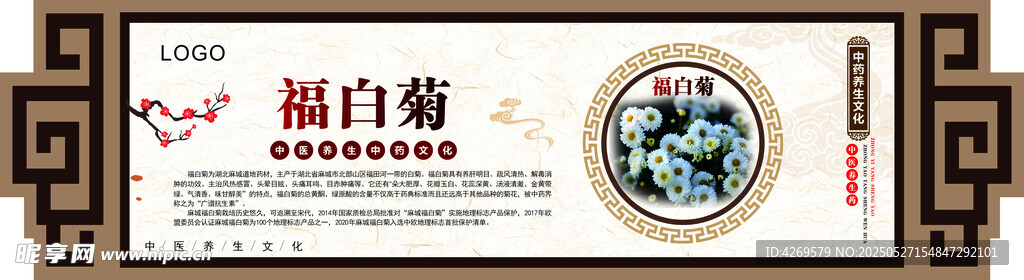 中醫(yī)藥材福白菊