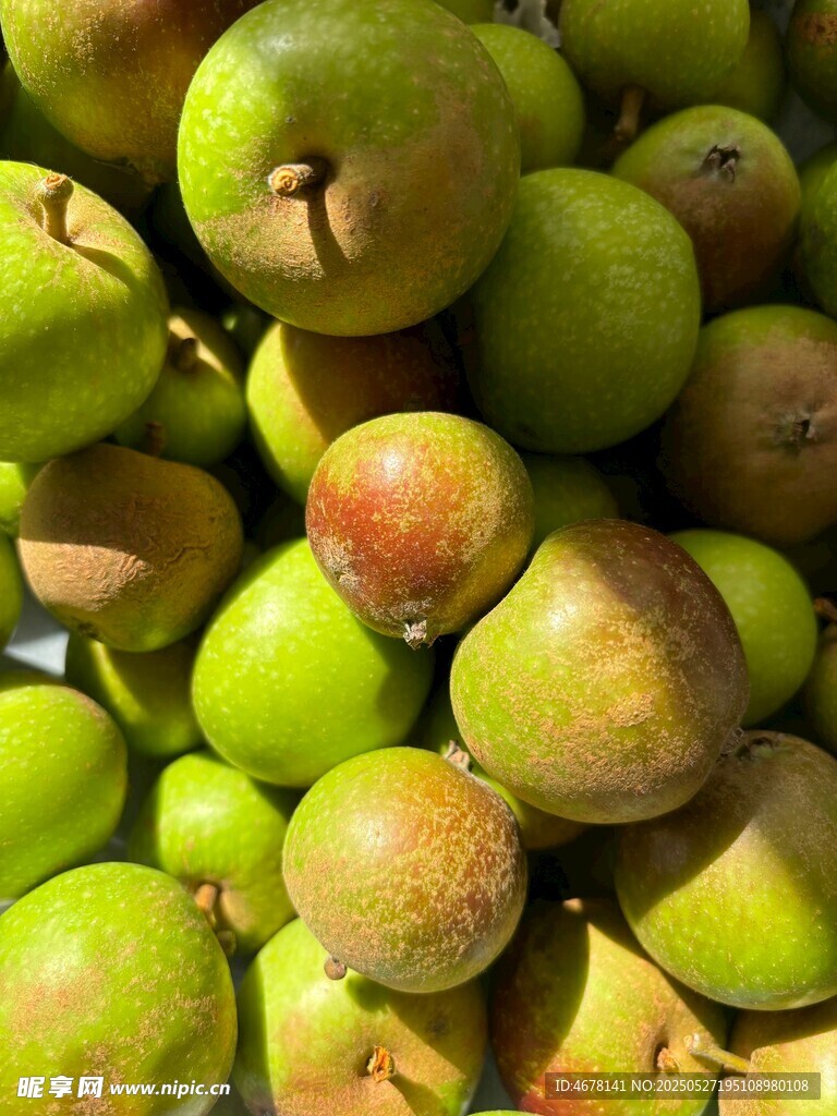 一堆新鮮的青皮梨子