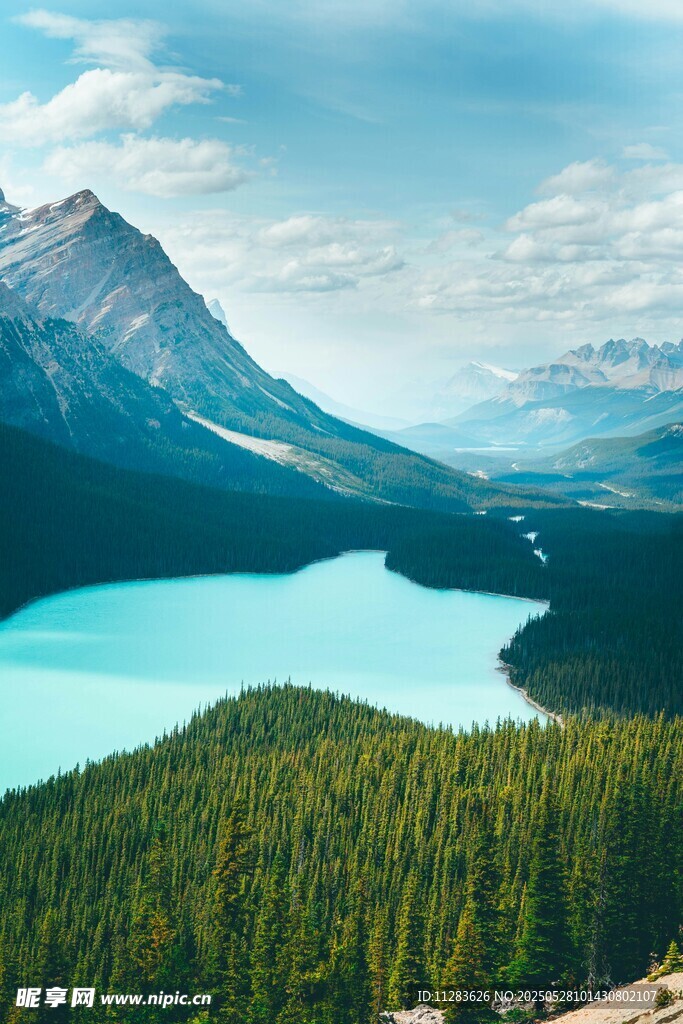 壯麗山水間的森林湖泊景觀