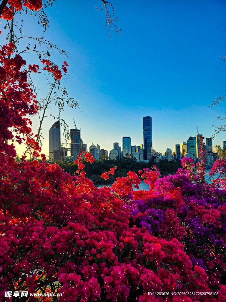 繁花映都市天際線美景