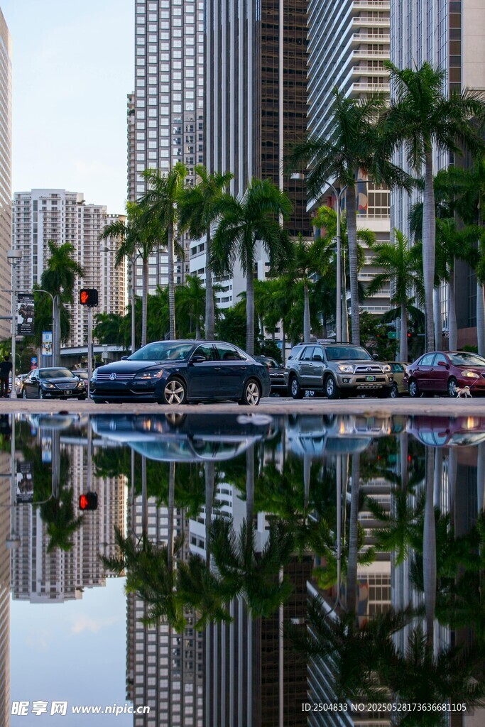 城市水邊倒影與棕櫚樹景觀