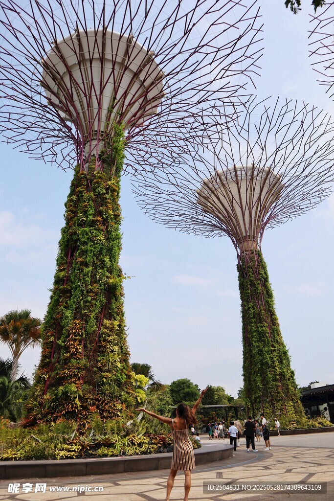 新加坡濱海灣超級樹景觀