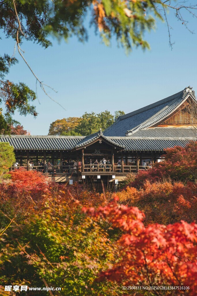 秋日紅葉中的古樸建筑