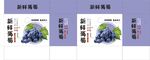 新鮮葡萄