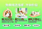 幼犬狗糧挑選指南