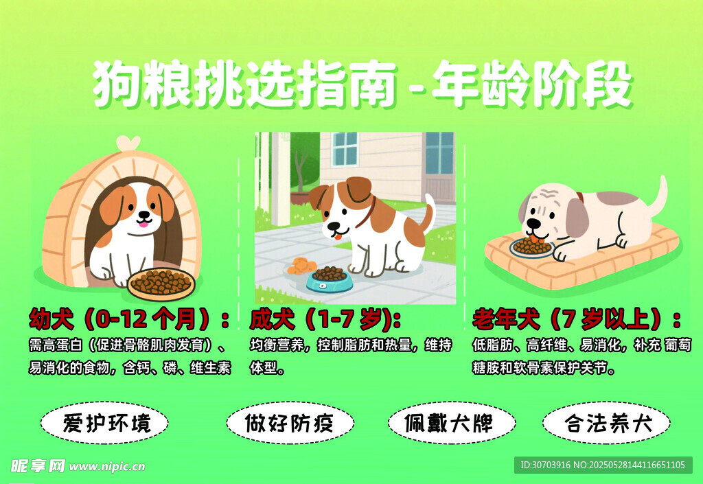 幼犬狗糧挑選指南