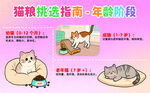 貓咪挑選指南之年齡階段