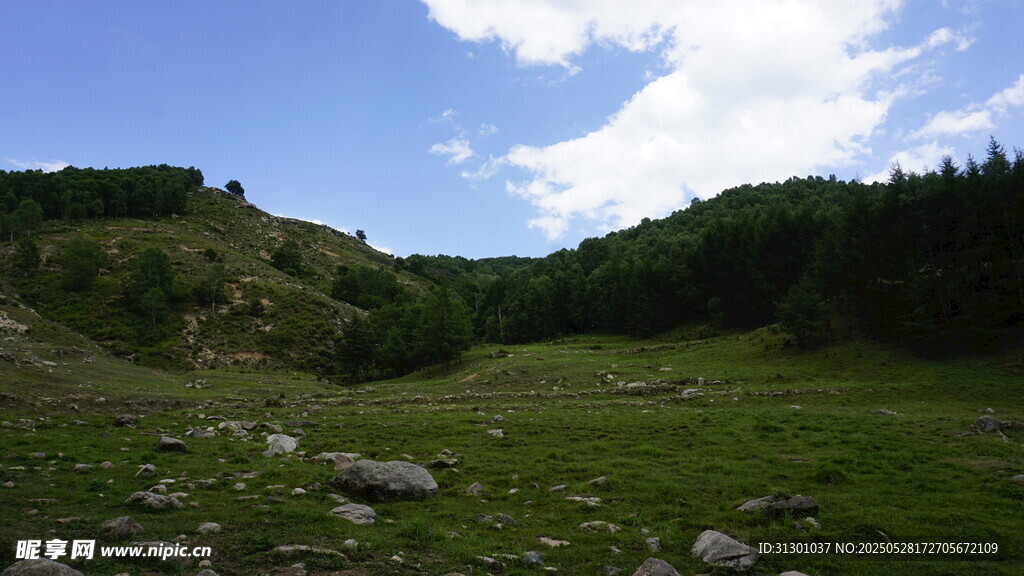 山間綠野美景