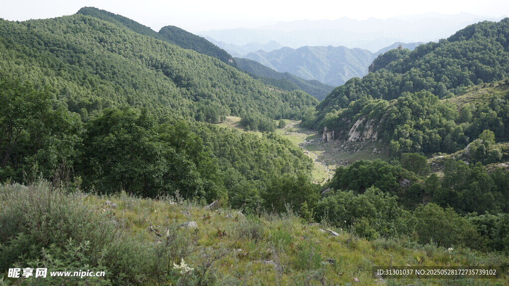 山間綠野美景