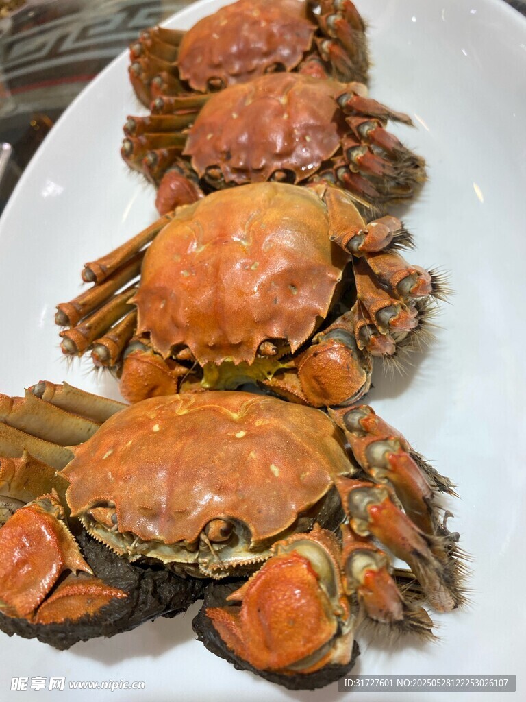 大閘蟹