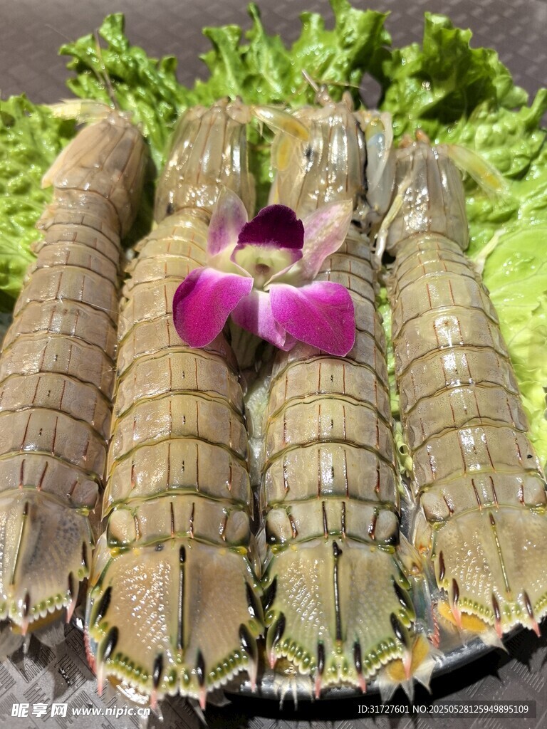 皮皮蝦