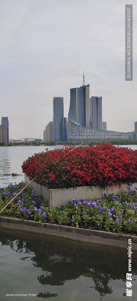 城市河畔多彩花卉景觀
