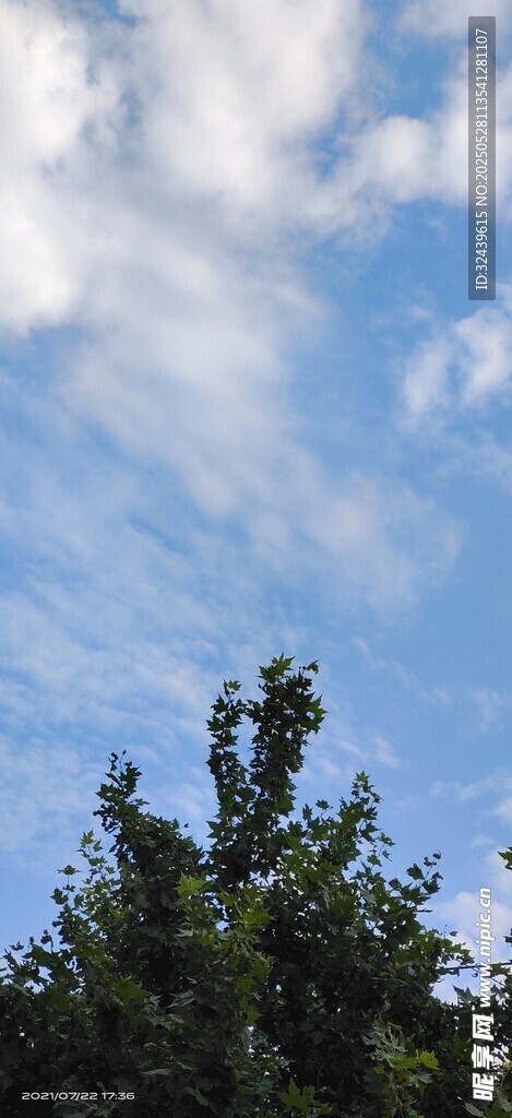藍(lán)天綠樹風(fēng)景圖