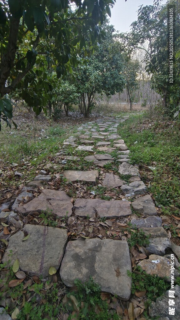 林間石板小徑