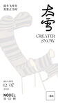 冬季雪主題創意海報設計